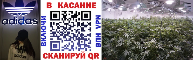 Наркошоп купить Галлюциногенные грибы СК ГАШ Канабис Метамфетамин COCAIN Лсд 25 Меф мяу мяу Кашира