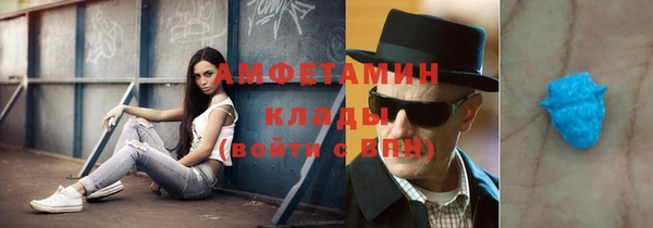 гидра Каменка