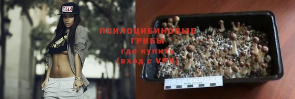 apvp Касимов