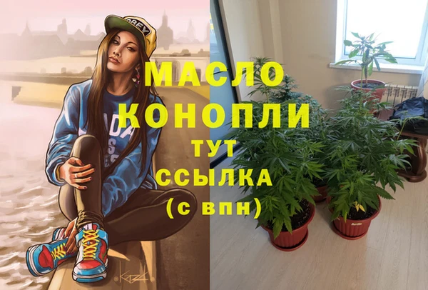 гидра Каменка