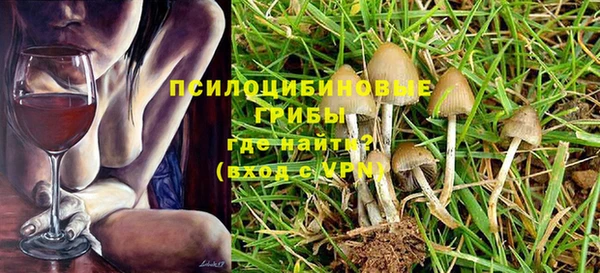 гидра Каменка