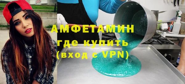 гидра Каменка