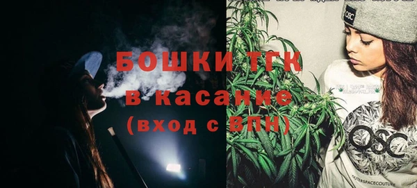 гидра Каменка