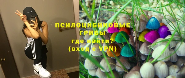 гидропоника Каменногорск