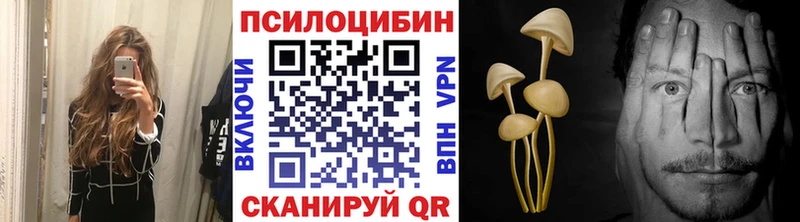 Купить закладки  Кашира  Галлюциногенные грибы MAGIC MUSHROOMS 